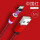 【type-c専用モデル】1メートル中国紅速充強磁力吸引